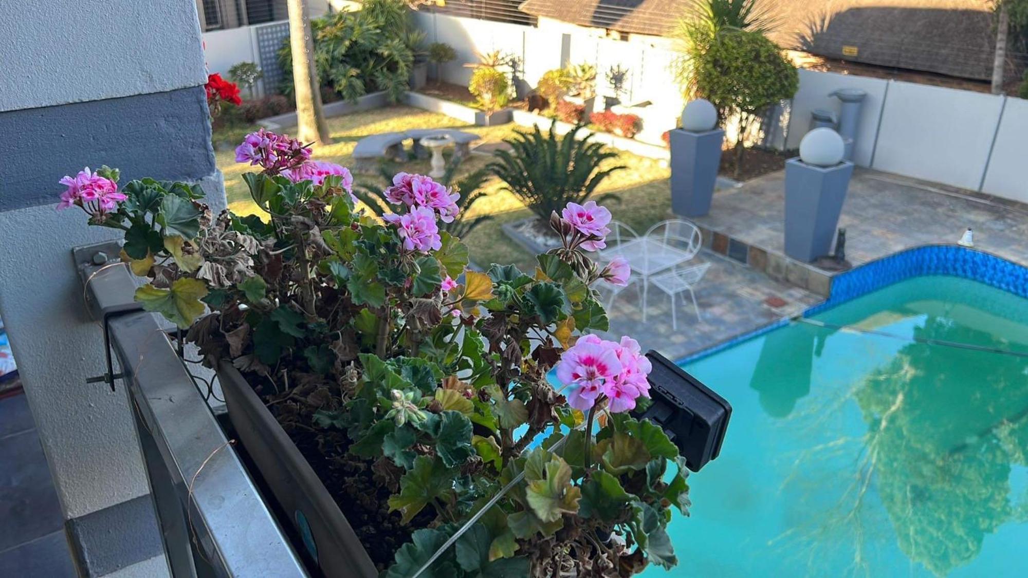 بوكسبرغ 2 Op Terblanche Guesthouse المظهر الخارجي الصورة